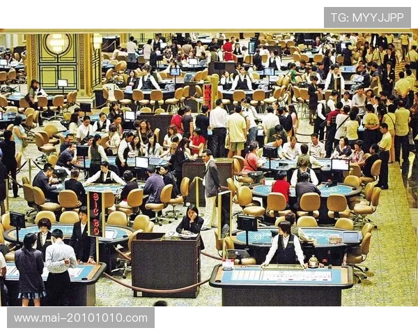 尊龙国际娱乐:打造安全可靠的在线博彩平台体验 尊龙国际娱乐:打造安全可靠的在线博彩平台体验